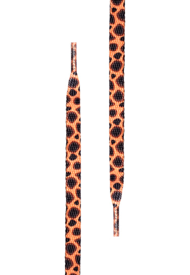 Special Flat