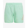 ADIDAS Logo Clx Swim Shorts Green Зелен 116 | MegaMall.bg