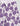 PUMA Essentials+ Blossom 5 Aop Shorts Purple
