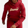 PUMA Essentials+ Script Metallic Hoodie Red Червен 140 | MegaMall.bg