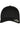 110 Mesh Cap