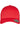 110 Mesh Cap