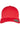 110 Mesh 2-Tone Cap