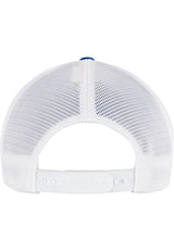 110 Mesh 2-Tone Cap