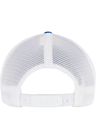 110 Mesh 2-Tone Cap
