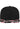 Floral Snapback