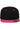 Classic Snapback 2-Tone
