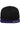 Classic Snapback 2-Tone