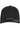 Flexfit NU Adjustable Snapback